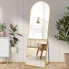64"x21" Full Body Wall Mirror Standing Hanging or Leaning Wall-Mounted Mirrors with Stand Aluminum Alloy Frame Living Room
